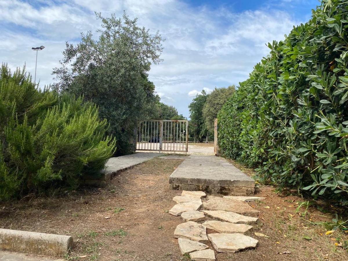 Apartment Soline Biograd Na Moru Esterno foto
